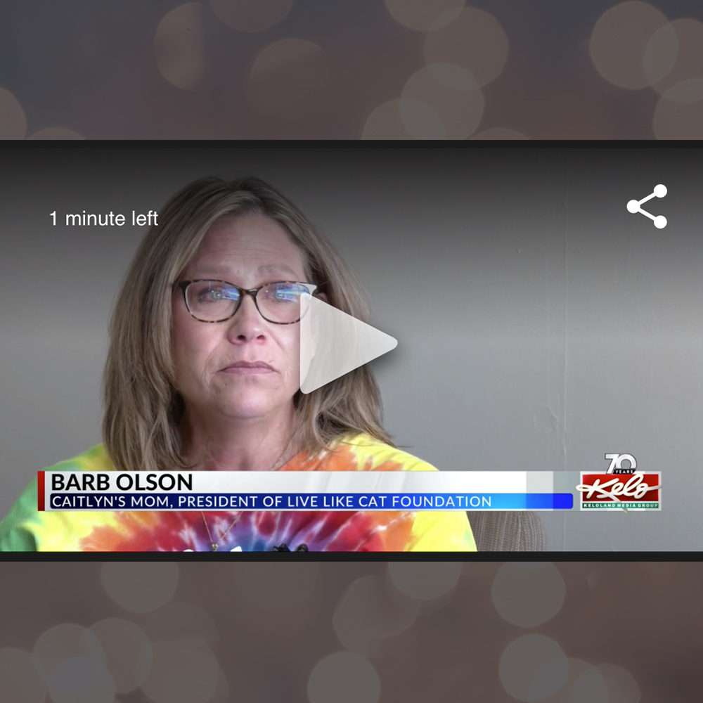 Live Like Cat Featured on Keloland News Collecting books for Caitlyn's 25th Birthday