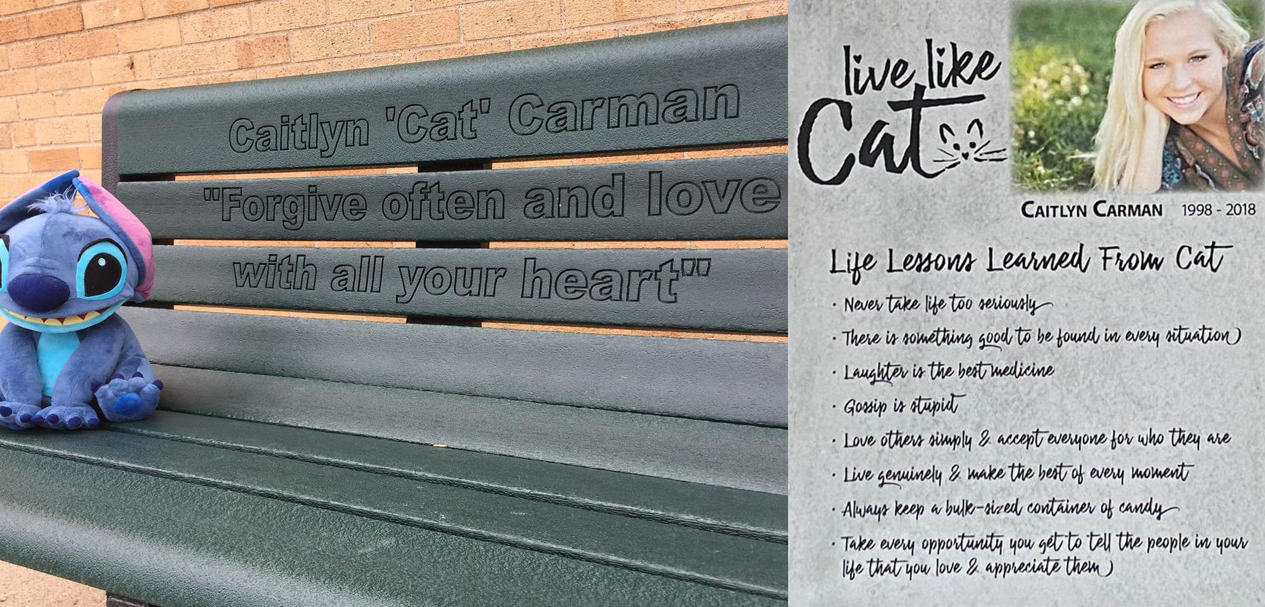 Life Lessons Learned from Cat