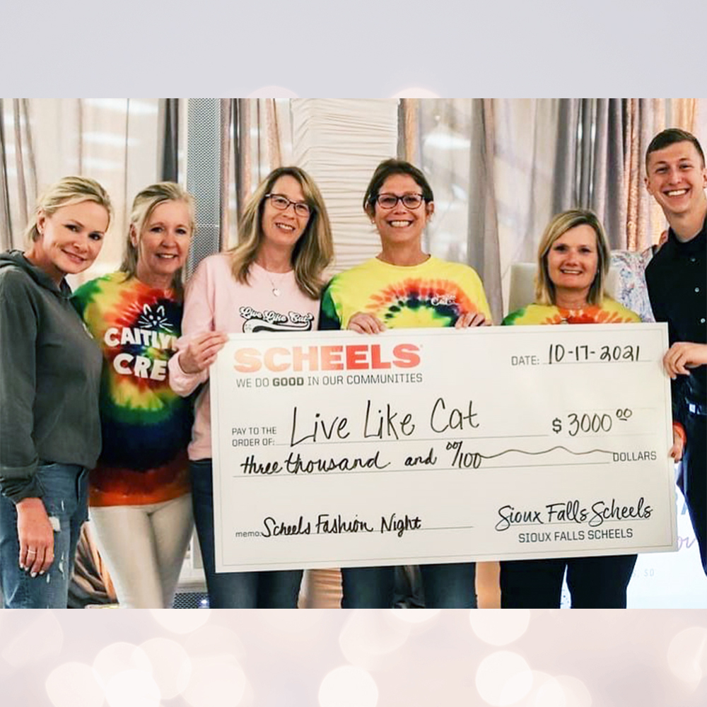 Lights, Camera, Fashion at Scheels